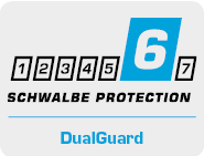 DualGuard