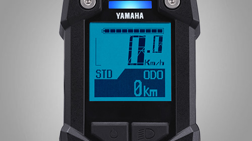 Ecran Yamaha LCD-X
